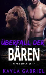 Kayla Gabriel - Überfall der Bären