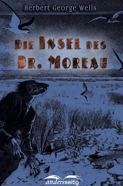 Herbert George Wells Die Insel des Dr. Moreau обложка книги