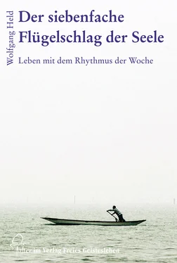 Wolfgang Held Der siebenfache Flügelschlag der Seele обложка книги