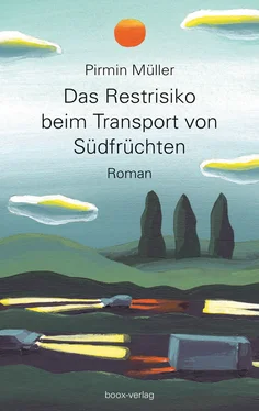 Pirmin Müller Das Restrisiko beim Transport von Südfrüchten обложка книги