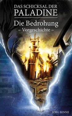 Jörg Benne Das Schicksal der Paladine обложка книги