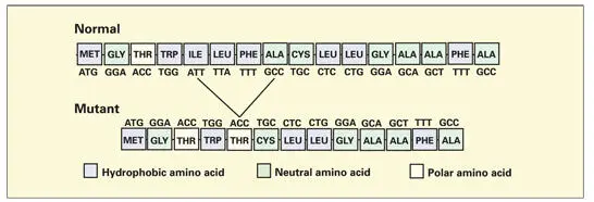 Fig 322Base pair and amino acid sequences of normal and mutant signal peptide - фото 80