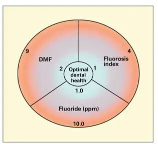 Fig 325Relationship between fluoride levels in drinking water in - фото 83