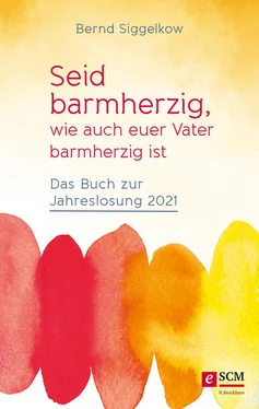 Bernd Siggelkow Seid barmherzig, wie auch euer Vater barmherzig ist обложка книги