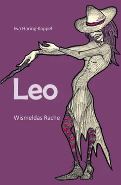 Eva Haring-Kappel Leo - Wismeldas Rache обложка книги