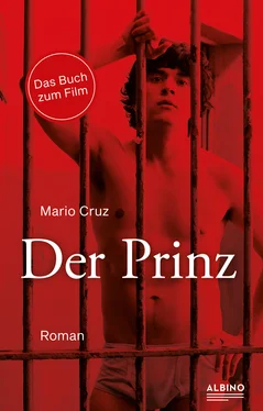 Mario Cruz Der Prinz обложка книги