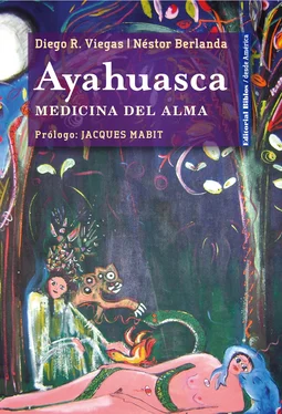 Néstor Berlanda Ayahuasca обложка книги