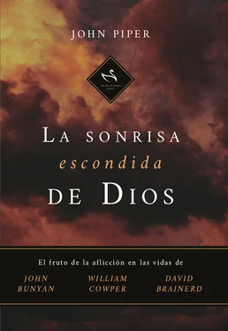 John Piper La Sonrisa Escondida de Dios обложка книги
