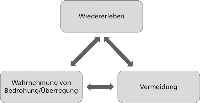 Abb 11 Die drei Symptomgruppen der PTBS Im Fallbeispiel sind diese drei - фото 4