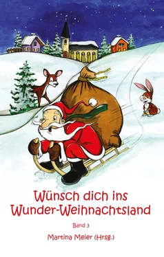 Martina Meier Wünsch dich ins Wunder-Weihnachtsland Band 3 обложка книги