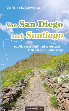 Christine R. Schweinzer Von San Diego nach Santiago обложка книги