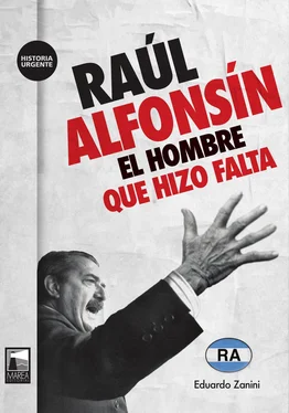 Eduardo Zanini Raúl Alfonsín обложка книги