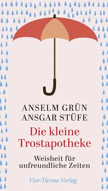 Anselm Grün Die kleine Trostapotheke обложка книги