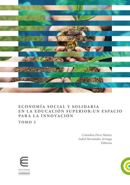 Rocío Rueda Ortiz Economía social y solidaria en la educación superior: un espacio para la innovación (Tomo 2) обложка книги
