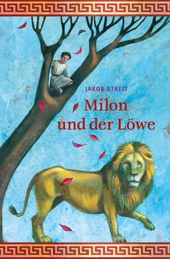 Jakob Streit Milon und der Löwe обложка книги
