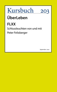 Peter Felixberger FLXX обложка книги