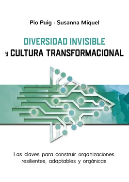 Pio Puig Diversidad invisible y cultura transformacional обложка книги