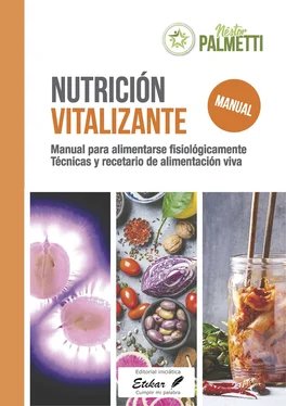 Néstor Palmetti Nutrición Vitalizante обложка книги