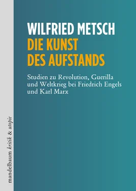 Wilfried Metsch Die Kunst des Aufstands обложка книги