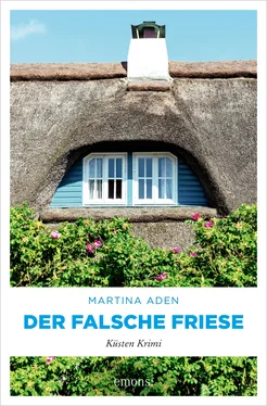 Martina Aden Der falsche Friese обложка книги