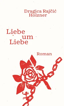 Dragica Rajčić Holzner Liebe um Liebe обложка книги