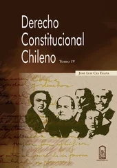 José Luis Cea Egaña - Derecho constitucional chileno. Tomo IV