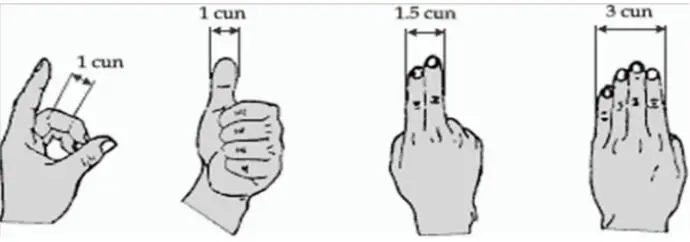 Cuadro de las medidas de los CUN o TSUN LOS PUNTOS DE ACUPUNTURA Y SUS USOS El - фото 6