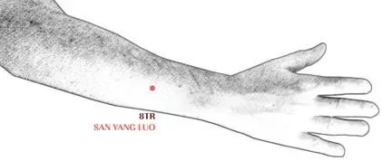Se localiza a 4 cun por encima del pliegue dorsal de la muñeca entre el cúbito - фото 30