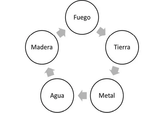 Cuadro de los Cinco Elementos El Qi se obtiene de la comida y la bebida la - фото 2