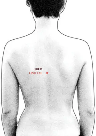 Se localiza entre la 6ª y 7ª vértebra dorsal Punto comunica con el corazón - фото 17