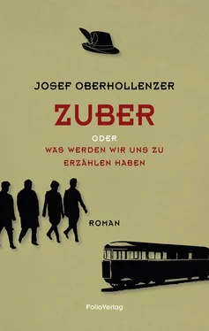 Josef Oberhollenzer Zuber обложка книги