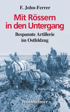 F. John-Ferrer Mit Rössern in den Untergang обложка книги