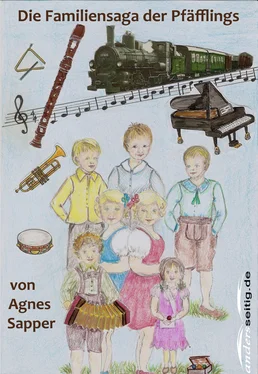 Agnes Sapper Die Familiensaga der Pfäfflings обложка книги