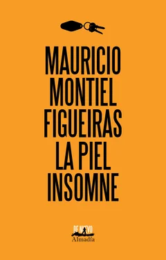 Mauricio Montiel Figueiras La piel insomne обложка книги