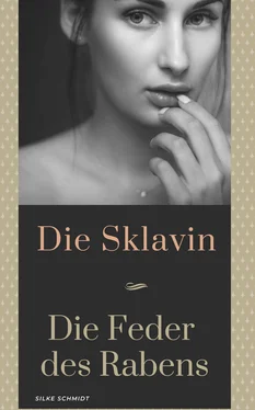 Silke Schmidt Sklavin обложка книги