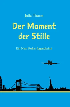 Julia Thurm Der Moment der Stille обложка книги