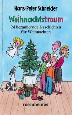 Hans-Peter Schneider Weihnachtstraum обложка книги