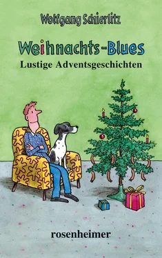 Wolfgang Schierlitz Weihnachts-Blues обложка книги