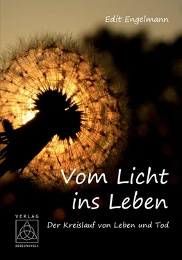 Edit Engelmann Vom Licht ins Leben обложка книги