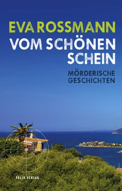 Eva Rossmann Vom schönen Schein обложка книги