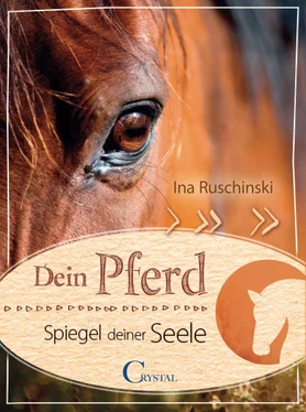 Ina Ruschinski Dein Pferd - Spiegel deiner Seele обложка книги