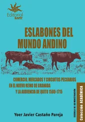 Yoer Javier Castaño Pareja - Eslabones del mundo andino