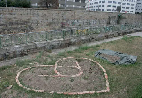 Ein neu angelegter GuerillaGemüsegarten stellt die Frage wem öffentliche - фото 25
