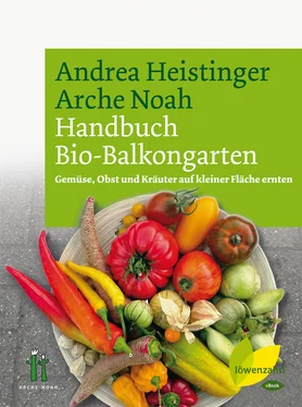 Verein Arche Noah Handbuch Bio-Balkongarten обложка книги