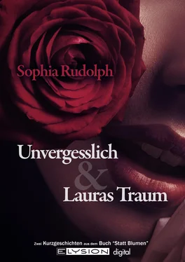 Sophia Rudolph Unvergesslich обложка книги