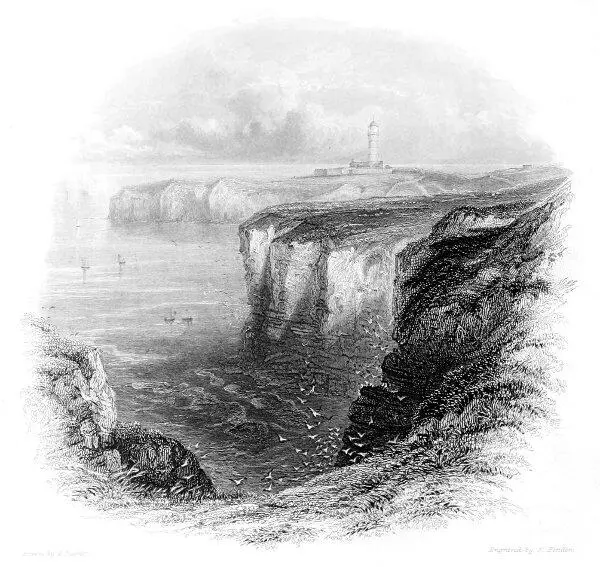 FLAMBOROUGH HEAD FLAMBOROUGH HEAD Table of Contents The view of Flamborough - фото 9