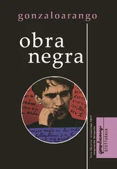 Gonzalo Arango - Obra negra