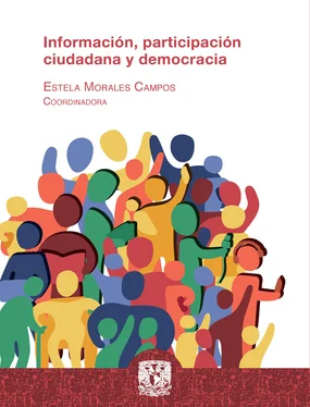 Estela Morales Campos Información, participación ciudadana y democracia обложка книги