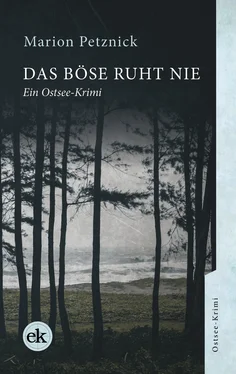 Marion Petznick Das Böse ruht nie обложка книги