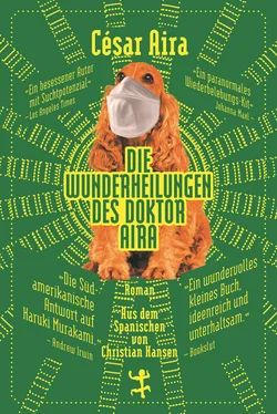 Cesar Aira Die Wunderheilungen des Doktor Aira обложка книги